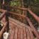 Phophonyane Falls Ecolodge and Nature Reserve - 164464