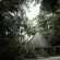 Phophonyane Falls Ecolodge and Nature Reserve - 164465