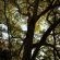 Phophonyane Falls Ecolodge and Nature Reserve - 164477