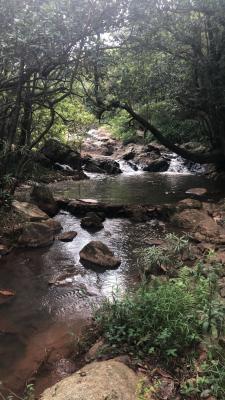 Phophonyane Falls Ecolodge and Nature Reserve - 164479