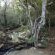Phophonyane Falls Ecolodge and Nature Reserve - 164482