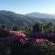 Diggersrest Lodge - 164611