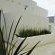 The Executive Bed and Breakfast - 164960