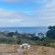 Seaview Sunset Boutique Apartments - 164996