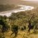 mFulaWozi Wilderness Biyela Lodge - 165034