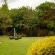 bWhale Guest House - 165041