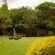 bWhale Guest House - 165041