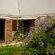 bWhale Guest House - 165044