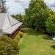 bWhale Guest House - 165046