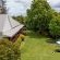 bWhale Guest House - 165046
