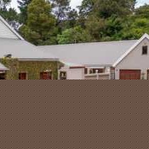 bWhale Guest House - 165047