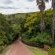 bWhale Guest House - 165048