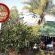 Viewpoint Lodge & Safari Tours - 165132