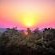 Viewpoint Lodge & Safari Tours - 165139