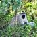 Viewpoint Lodge & Safari Tours - 165141