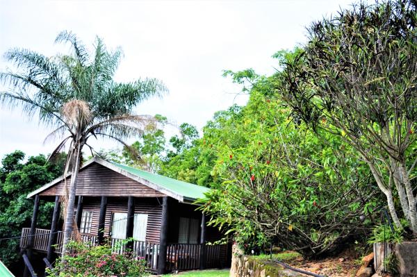 Viewpoint Lodge & Safari Tours - 165147