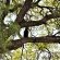 Viewpoint Lodge & Safari Tours - 165154