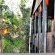 Viewpoint Lodge & Safari Tours - 165159