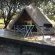 Hluhluwe Bush Camp Glamping Village - 165218