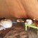 Hluhluwe Bush Camp Glamping Village - 165220