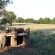 Hluhluwe Bush Camp Glamping Village - 165222