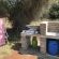Hluhluwe Bush Camp Glamping Village - 165232