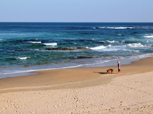 Sea Why - 24