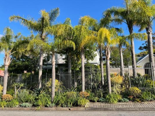Room image 1