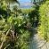 Constantiaberg Villa - 165386
