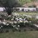 Zonnenstrahl Guesthouse & Caravan Park - 165404