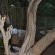 Lulani Bush Retreat - 165592
