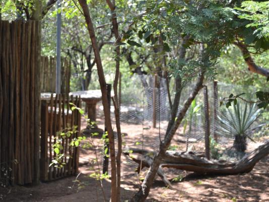 Lulani Bush Retreat - 165595