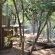 Lulani Bush Retreat - 165595