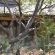 Lulani Bush Retreat - 165598
