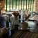 Dreamfields Guesthouse - 165601