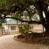 Edenvale Guest House - 165717