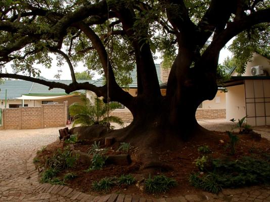Edenvale Guest House - 165720