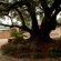 Edenvale Guest House - 165720