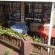 Xanadu Guest House - 166170