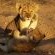 Jabulani Safari - 166398