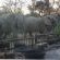 Hornbill Private Lodge Mabalingwe - 166432