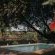 Pretorius Park Guest House - 166801