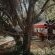 Pretorius Park Guest House - 166827