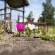 Tsitsikamma Cottages - 166829