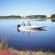 Tsitsikamma Cottages - 166846