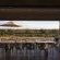 Buffalo Brooke - 166922