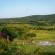 Zebras Crossing Boutique Lodge - 167378