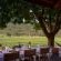 Zebras Crossing Boutique Lodge - 167379
