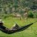 Zebras Crossing Boutique Lodge - 167390