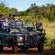 Zebras Crossing Boutique Lodge - 167396